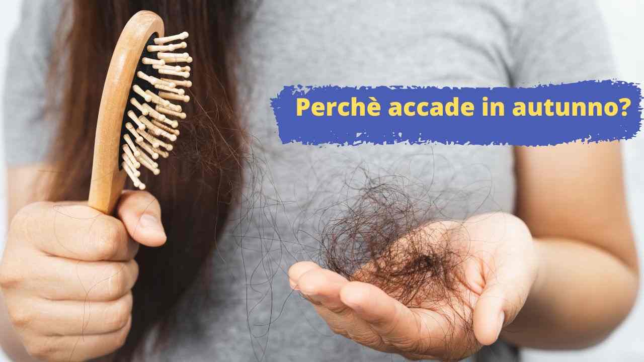 Capelli perché ne perdiamo così tanti in autunno