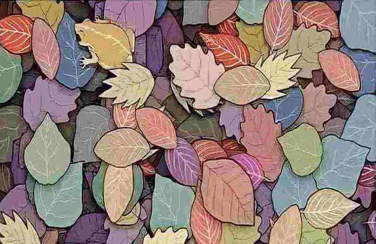 Rana nascosta foglie test visivo
